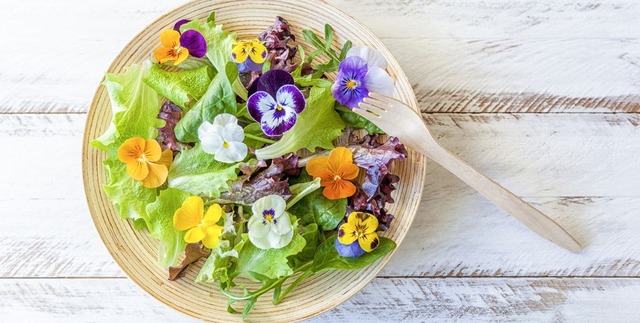 Growing Edible Flowers and Plants in Your Garden
